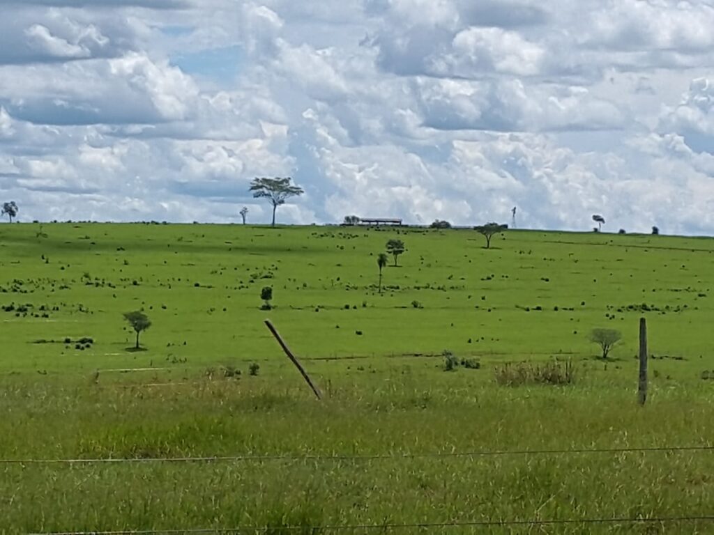 8258 ha Agrícola -Ganadero en P.J.Caballero