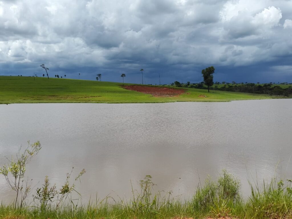 8258 ha Agrícola -Ganadero en P.J.Caballero